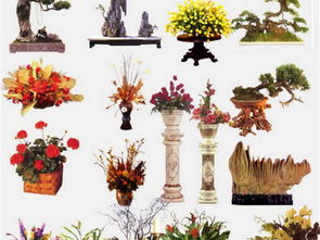 室內(nèi)設(shè)計(jì)效果圖ps后期素材庫(kù)家裝工裝ps平面圖下載 圖片718.72mb 家裝彩色平面圖大全 彩色平面圖